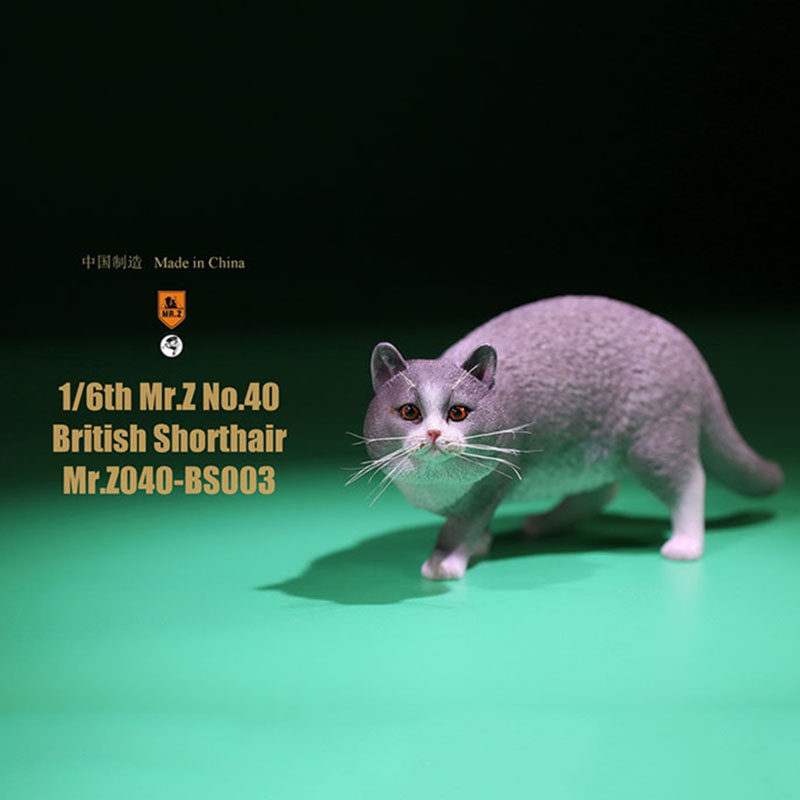Mr.Z No.040-BS 1/6 British Shorthair Fat Cat Simulation Model Toy Animal Model Static Decoration for 12' Action Figure Ornaments Mr.Z No.040-BS 1/6 British Shorthair Fat Cat Simulation Model Toy Animal Model Static Decoration for 12' Action Figure Ornaments