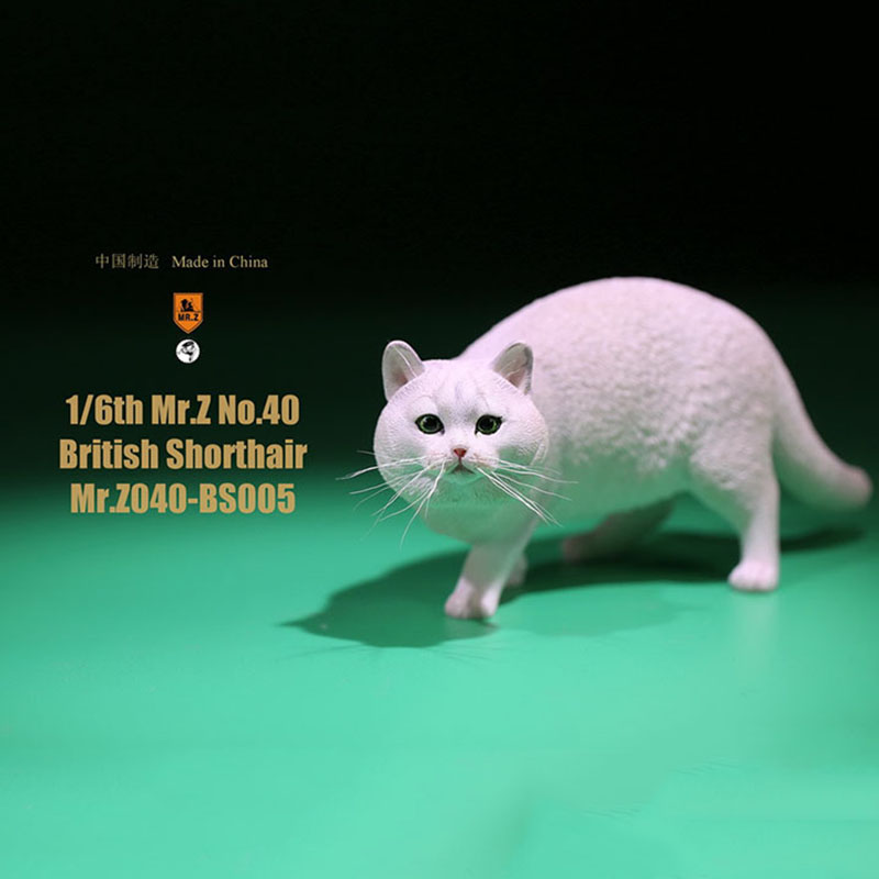 Mr.Z No.040-BS 1/6 British Shorthair Fat Cat Simulation Model Toy Animal Model Static Decoration for 12' Action Figure Ornaments Mr.Z No.040-BS 1/6 British Shorthair Fat Cat Simulation Model Toy Animal Model Static Decoration for 12' Action Figure Ornaments