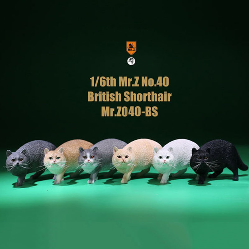 Mr.Z No.040-BS 1/6 British Shorthair Fat Cat Simulation Model Toy Animal Model Static Decoration for 12' Action Figure Ornaments Mr.Z No.040-BS 1/6 British Shorthair Fat Cat Simulation Model Toy Animal Model Static Decoration for 12' Action Figure Ornaments