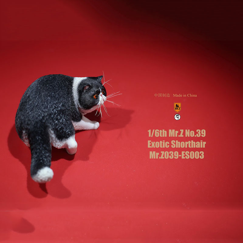 Mr.Z No.039 Cat 1/6th Resin Exotic Hairless Cat Model Simulation Model Toy Animal Static Model for 12' Action Figure Accessories Mr.Z No.039 Cat 1/6th Resin Exotic Hairless Cat Model Simulation Model Toy Animal Static Model for 12' Action Figure Accessories