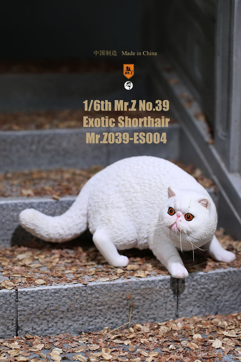 Mr.Z No.039 Cat 1/6th Resin Exotic Hairless Cat Model Simulation Model Toy Animal Static Model for 12' Action Figure Accessories Mr.Z No.039 Cat 1/6th Resin Exotic Hairless Cat Model Simulation Model Toy Animal Static Model for 12' Action Figure Accessories