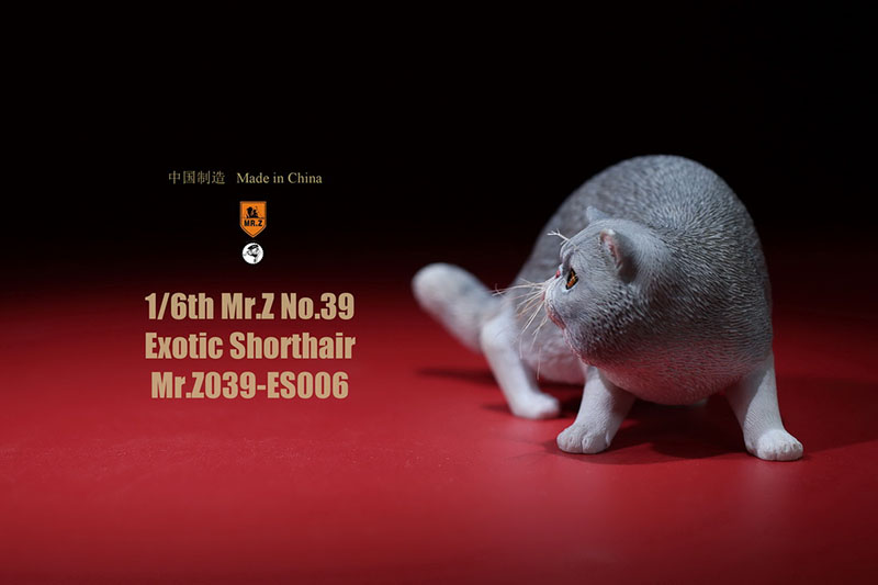 Mr.Z No.039 Cat 1/6th Resin Exotic Hairless Cat Model Simulation Model Toy Animal Static Model for 12' Action Figure Accessories Mr.Z No.039 Cat 1/6th Resin Exotic Hairless Cat Model Simulation Model Toy Animal Static Model for 12' Action Figure Accessories