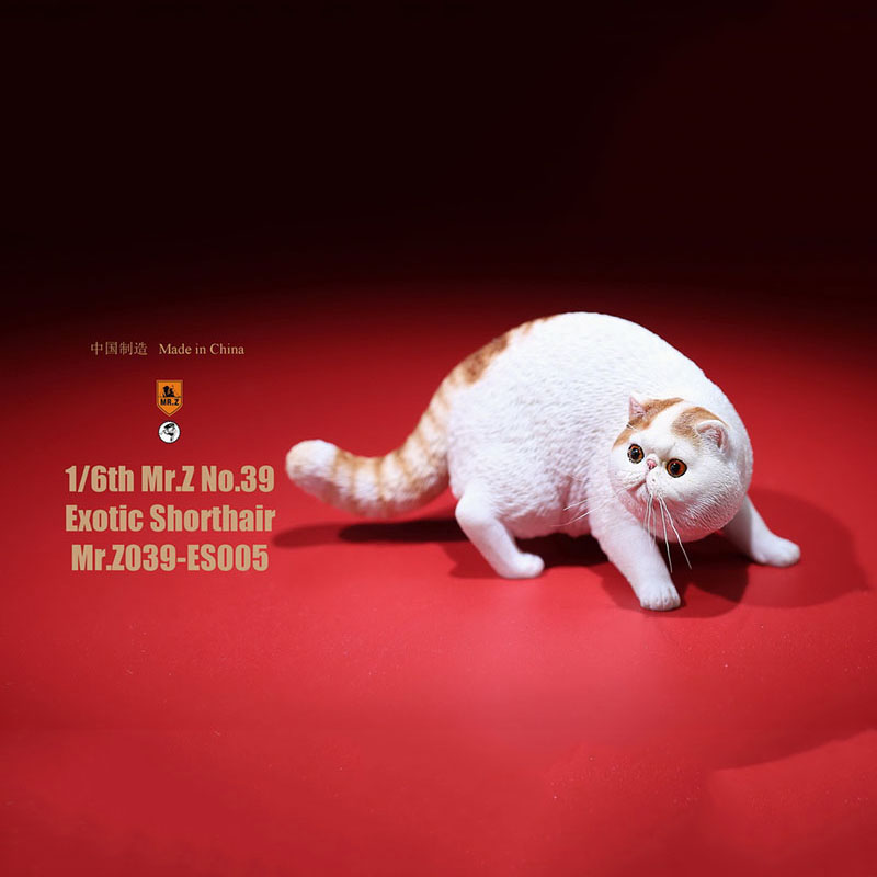 Mr.Z No.039 Cat 1/6th Resin Exotic Hairless Cat Model Simulation Model Toy Animal Static Model for 12' Action Figure Accessories Mr.Z No.039 Cat 1/6th Resin Exotic Hairless Cat Model Simulation Model Toy Animal Static Model for 12' Action Figure Accessories