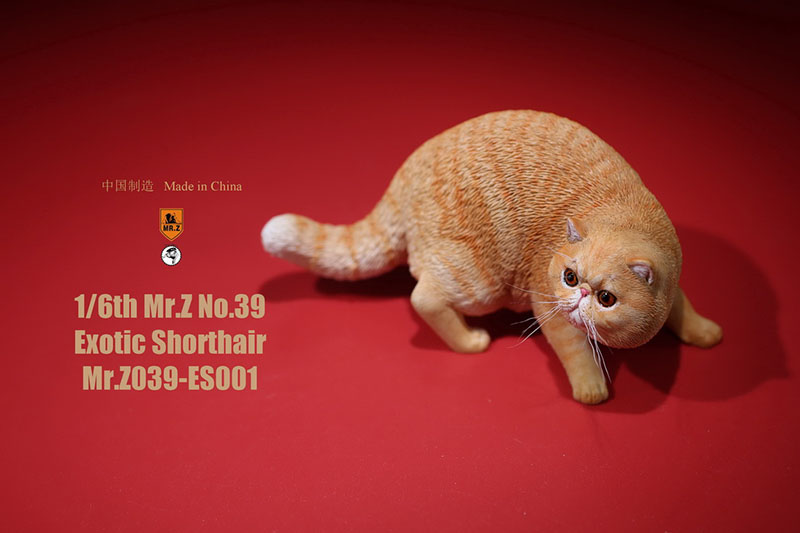Mr.Z No.039 Cat 1/6th Resin Exotic Hairless Cat Model Simulation Model Toy Animal Static Model for 12' Action Figure Accessories Mr.Z No.039 Cat 1/6th Resin Exotic Hairless Cat Model Simulation Model Toy Animal Static Model for 12' Action Figure Accessories