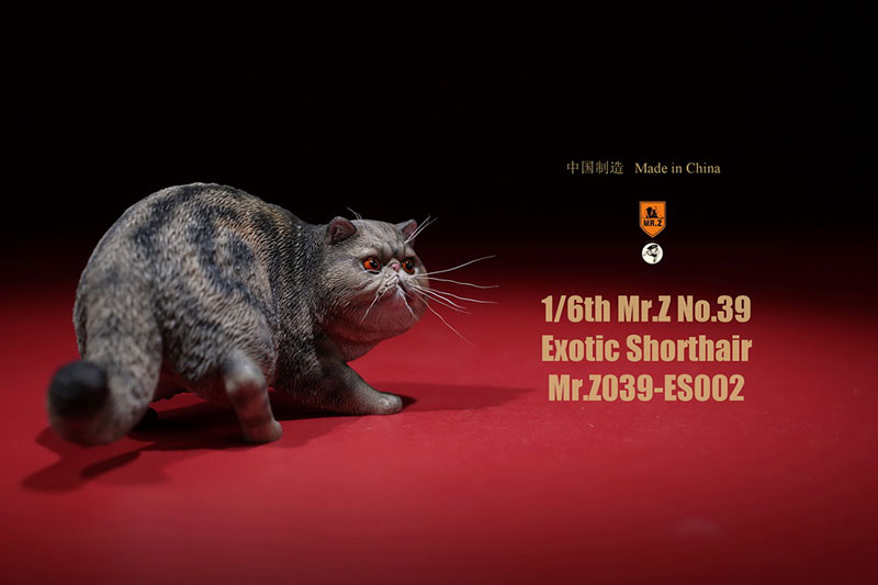 Mr.Z No.039 Cat 1/6th Resin Exotic Hairless Cat Model Simulation Model Toy Animal Static Model for 12' Action Figure Accessories Mr.Z No.039 Cat 1/6th Resin Exotic Hairless Cat Model Simulation Model Toy Animal Static Model for 12' Action Figure Accessories