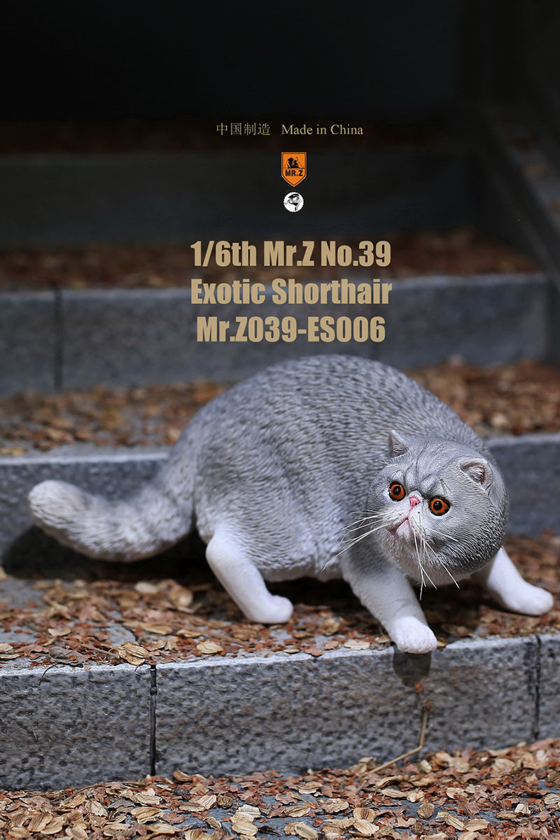 Mr.Z No.039 Cat 1/6th Resin Exotic Hairless Cat Model Simulation Model Toy Animal Static Model for 12' Action Figure Accessories Mr.Z No.039 Cat 1/6th Resin Exotic Hairless Cat Model Simulation Model Toy Animal Static Model for 12' Action Figure Accessories