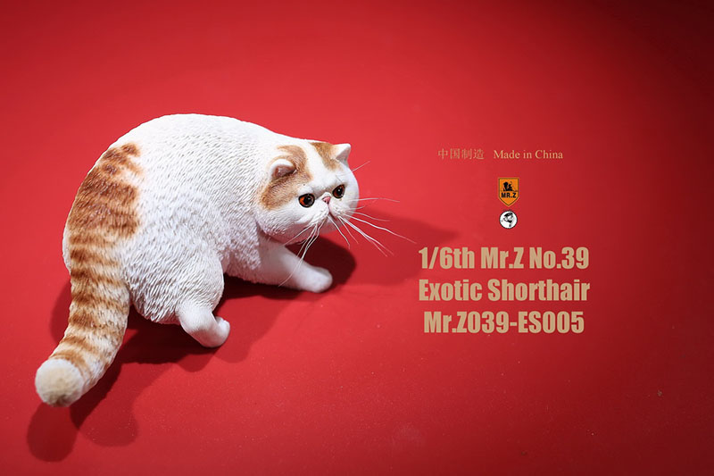 Mr.Z No.039 Cat 1/6th Resin Exotic Hairless Cat Model Simulation Model Toy Animal Static Model for 12' Action Figure Accessories Mr.Z No.039 Cat 1/6th Resin Exotic Hairless Cat Model Simulation Model Toy Animal Static Model for 12' Action Figure Accessories