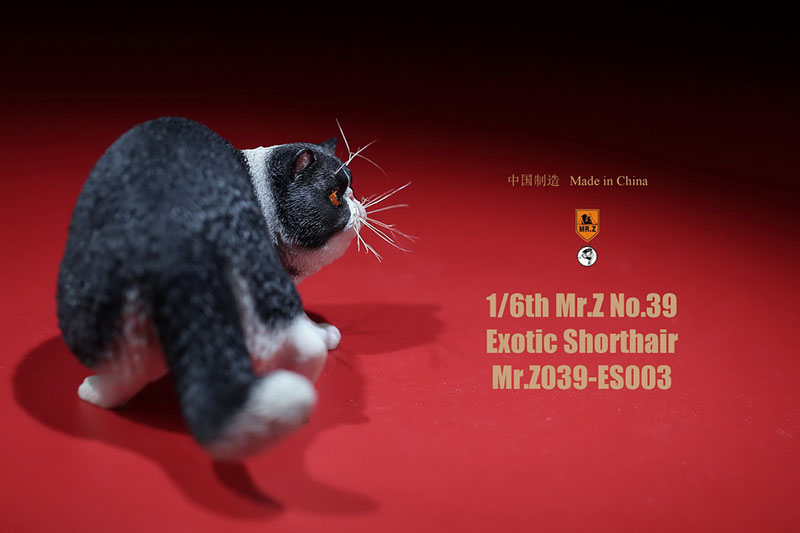 Mr.Z No.039 Cat 1/6th Resin Exotic Hairless Cat Model Simulation Model Toy Animal Static Model for 12' Action Figure Accessories Mr.Z No.039 Cat 1/6th Resin Exotic Hairless Cat Model Simulation Model Toy Animal Static Model for 12' Action Figure Accessories