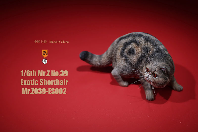 Mr.Z No.039 Cat 1/6th Resin Exotic Hairless Cat Model Simulation Model Toy Animal Static Model for 12' Action Figure Accessories Mr.Z No.039 Cat 1/6th Resin Exotic Hairless Cat Model Simulation Model Toy Animal Static Model for 12' Action Figure Accessories