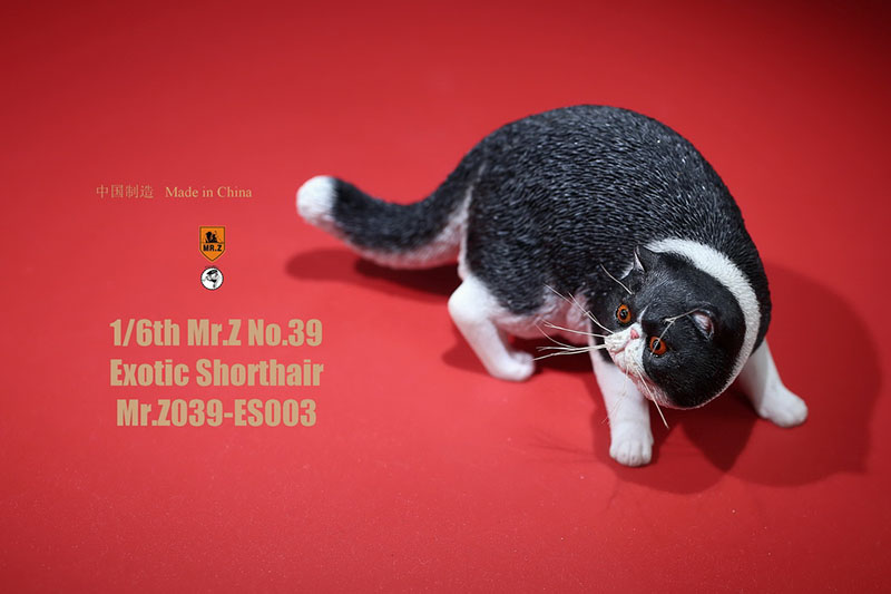Mr.Z No.039 Cat 1/6th Resin Exotic Hairless Cat Model Simulation Model Toy Animal Static Model for 12' Action Figure Accessories Mr.Z No.039 Cat 1/6th Resin Exotic Hairless Cat Model Simulation Model Toy Animal Static Model for 12' Action Figure Accessories