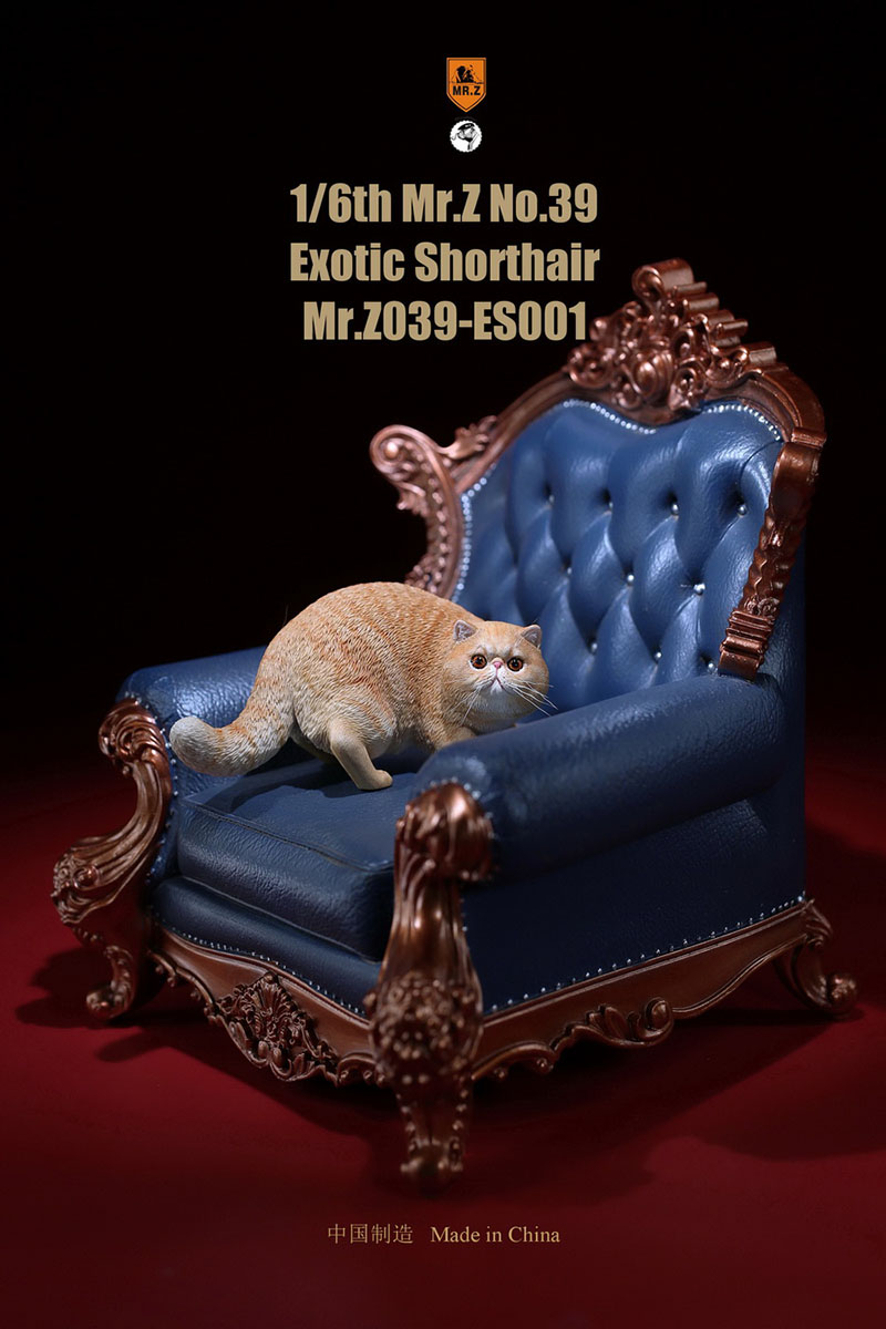 Mr.Z No.039 Cat 1/6th Resin Exotic Hairless Cat Model Simulation Model Toy Animal Static Model for 12' Action Figure Accessories Mr.Z No.039 Cat 1/6th Resin Exotic Hairless Cat Model Simulation Model Toy Animal Static Model for 12' Action Figure Accessories