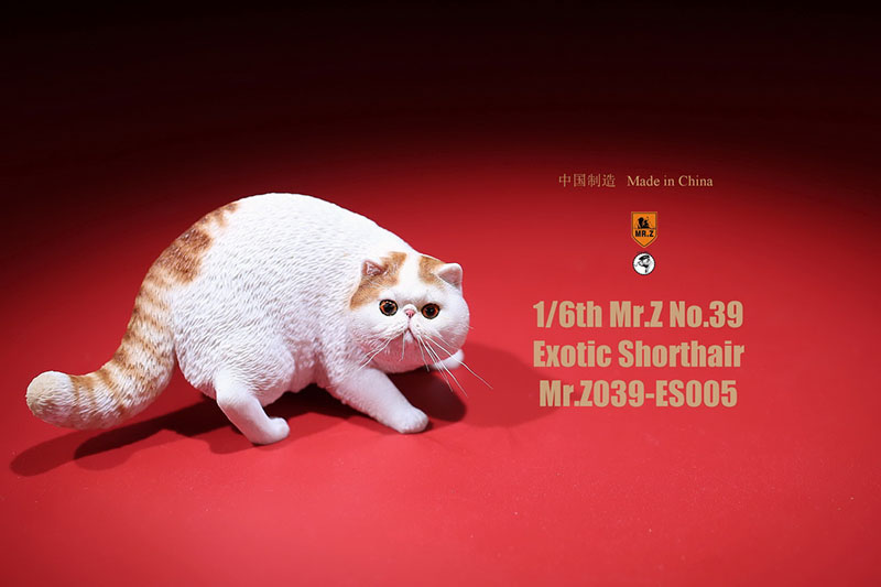 Mr.Z No.039 Cat 1/6th Resin Exotic Hairless Cat Model Simulation Model Toy Animal Static Model for 12' Action Figure Accessories Mr.Z No.039 Cat 1/6th Resin Exotic Hairless Cat Model Simulation Model Toy Animal Static Model for 12' Action Figure Accessories