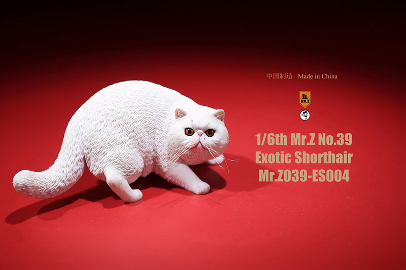 Mr.Z No.039 Cat 1/6th Resin Exotic Hairless Cat Model Simulation Model Toy Animal Static Model for 12' Action Figure Accessories Mr.Z No.039 Cat 1/6th Resin Exotic Hairless Cat Model Simulation Model Toy Animal Static Model for 12' Action Figure Accessories