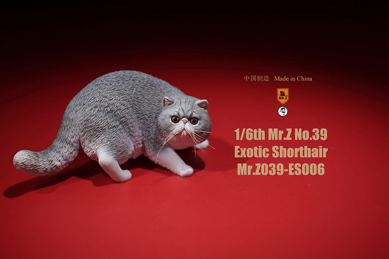 Mr.Z No.039 Cat 1/6th Resin Exotic Hairless Cat Model Simulation Model Toy Animal Static Model for 12' Action Figure Accessories Mr.Z No.039 Cat 1/6th Resin Exotic Hairless Cat Model Simulation Model Toy Animal Static Model for 12' Action Figure Accessories