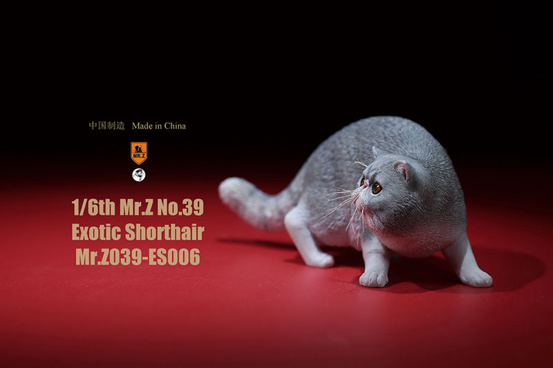 Mr.Z No.039 Cat 1/6th Resin Exotic Hairless Cat Model Simulation Model Toy Animal Static Model for 12' Action Figure Accessories Mr.Z No.039 Cat 1/6th Resin Exotic Hairless Cat Model Simulation Model Toy Animal Static Model for 12' Action Figure Accessories
