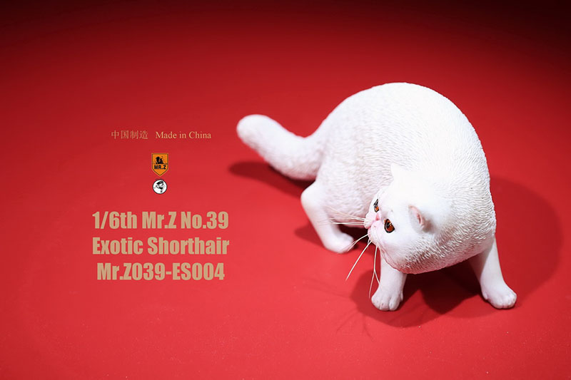 Mr.Z No.039 Cat 1/6th Resin Exotic Hairless Cat Model Simulation Model Toy Animal Static Model for 12' Action Figure Accessories Mr.Z No.039 Cat 1/6th Resin Exotic Hairless Cat Model Simulation Model Toy Animal Static Model for 12' Action Figure Accessories