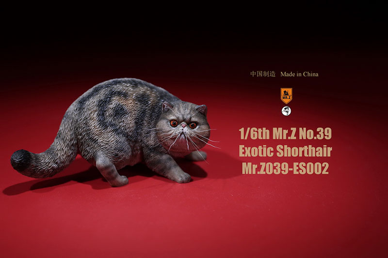 Mr.Z No.039 Cat 1/6th Resin Exotic Hairless Cat Model Simulation Model Toy Animal Static Model for 12' Action Figure Accessories Mr.Z No.039 Cat 1/6th Resin Exotic Hairless Cat Model Simulation Model Toy Animal Static Model for 12' Action Figure Accessories