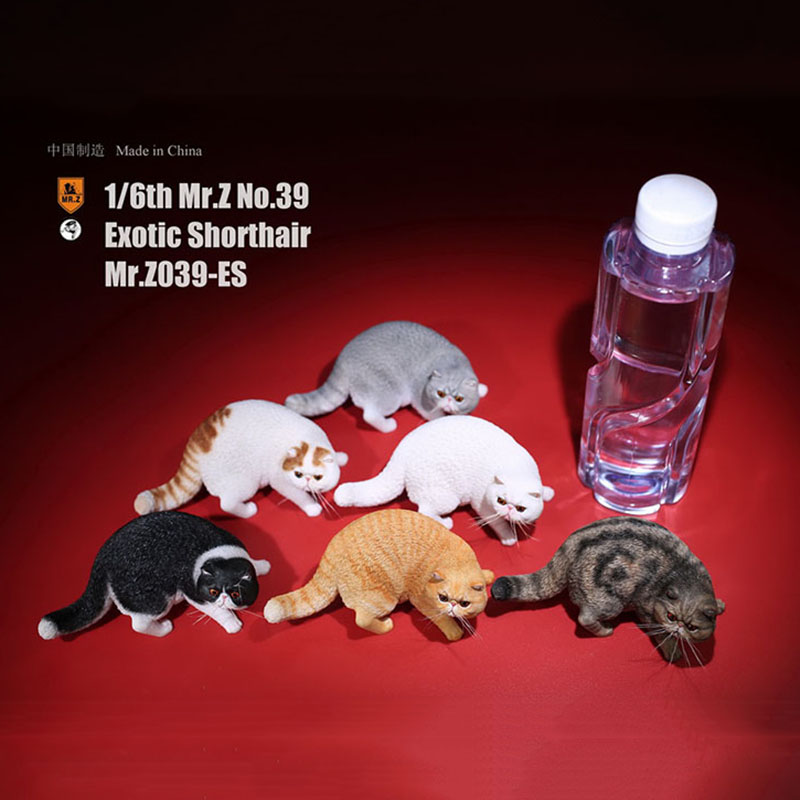 Mr.Z No.039 Cat 1/6th Resin Exotic Hairless Cat Model Simulation Model Toy Animal Static Model for 12' Action Figure Accessories Mr.Z No.039 Cat 1/6th Resin Exotic Hairless Cat Model Simulation Model Toy Animal Static Model for 12' Action Figure Accessories