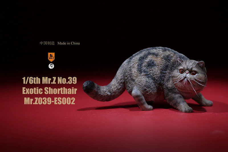 Mr.Z No.039 Cat 1/6th Resin Exotic Hairless Cat Model Simulation Model Toy Animal Static Model for 12' Action Figure Accessories Mr.Z No.039 Cat 1/6th Resin Exotic Hairless Cat Model Simulation Model Toy Animal Static Model for 12' Action Figure Accessories