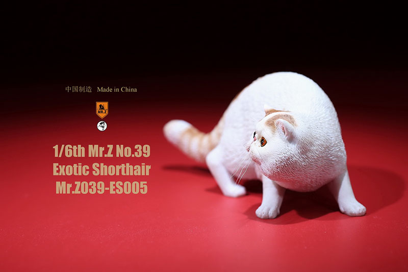 Mr.Z No.039 Cat 1/6th Resin Exotic Hairless Cat Model Simulation Model Toy Animal Static Model for 12' Action Figure Accessories Mr.Z No.039 Cat 1/6th Resin Exotic Hairless Cat Model Simulation Model Toy Animal Static Model for 12' Action Figure Accessories