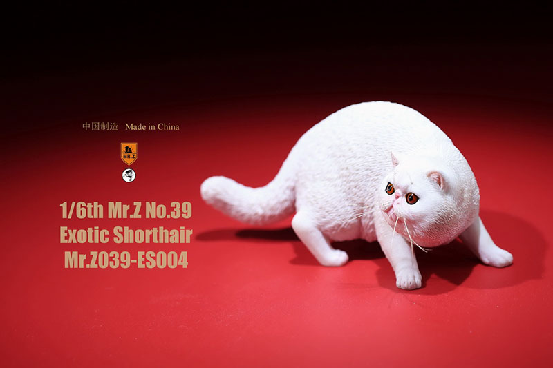 Mr.Z No.039 Cat 1/6th Resin Exotic Hairless Cat Model Simulation Model Toy Animal Static Model for 12' Action Figure Accessories Mr.Z No.039 Cat 1/6th Resin Exotic Hairless Cat Model Simulation Model Toy Animal Static Model for 12' Action Figure Accessories