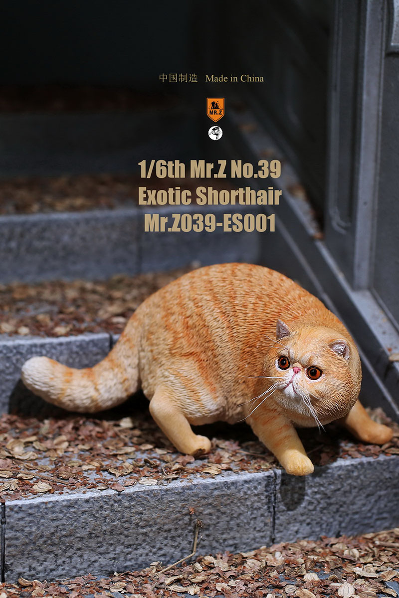 Mr.Z No.039 Cat 1/6th Resin Exotic Hairless Cat Model Simulation Model Toy Animal Static Model for 12' Action Figure Accessories Mr.Z No.039 Cat 1/6th Resin Exotic Hairless Cat Model Simulation Model Toy Animal Static Model for 12' Action Figure Accessories