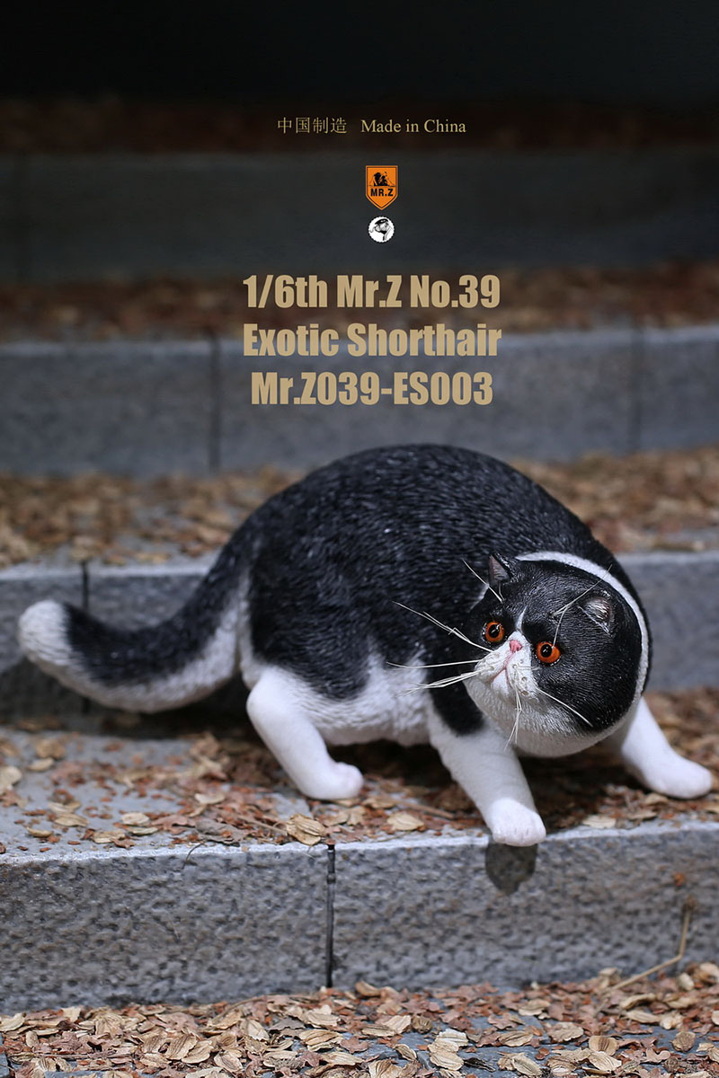 Mr.Z No.039 Cat 1/6th Resin Exotic Hairless Cat Model Simulation Model Toy Animal Static Model for 12' Action Figure Accessories Mr.Z No.039 Cat 1/6th Resin Exotic Hairless Cat Model Simulation Model Toy Animal Static Model for 12' Action Figure Accessories