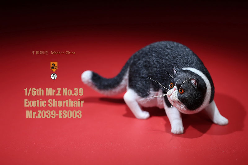 Mr.Z No.039 Cat 1/6th Resin Exotic Hairless Cat Model Simulation Model Toy Animal Static Model for 12' Action Figure Accessories Mr.Z No.039 Cat 1/6th Resin Exotic Hairless Cat Model Simulation Model Toy Animal Static Model for 12' Action Figure Accessories