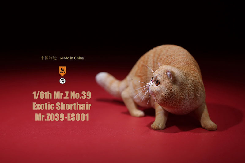 Mr.Z No.039 Cat 1/6th Resin Exotic Hairless Cat Model Simulation Model Toy Animal Static Model for 12' Action Figure Accessories Mr.Z No.039 Cat 1/6th Resin Exotic Hairless Cat Model Simulation Model Toy Animal Static Model for 12' Action Figure Accessories