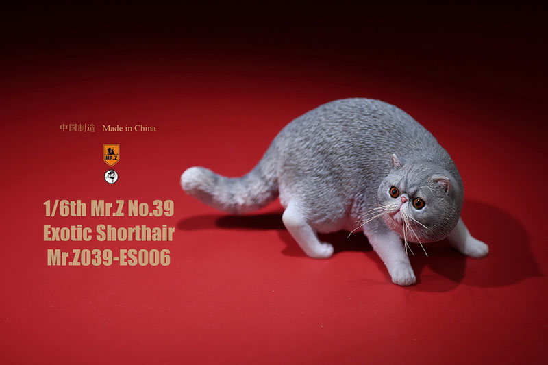 Mr.Z No.039 Cat 1/6th Resin Exotic Hairless Cat Model Simulation Model Toy Animal Static Model for 12' Action Figure Accessories Mr.Z No.039 Cat 1/6th Resin Exotic Hairless Cat Model Simulation Model Toy Animal Static Model for 12' Action Figure Accessories