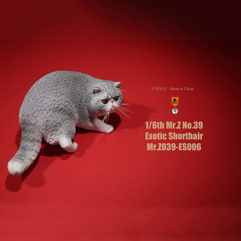 Mr.Z No.039 Cat 1/6th Resin Exotic Hairless Cat Model Simulation Model Toy Animal Static Model for 12' Action Figure Accessories Mr.Z No.039 Cat 1/6th Resin Exotic Hairless Cat Model Simulation Model Toy Animal Static Model for 12' Action Figure Accessories