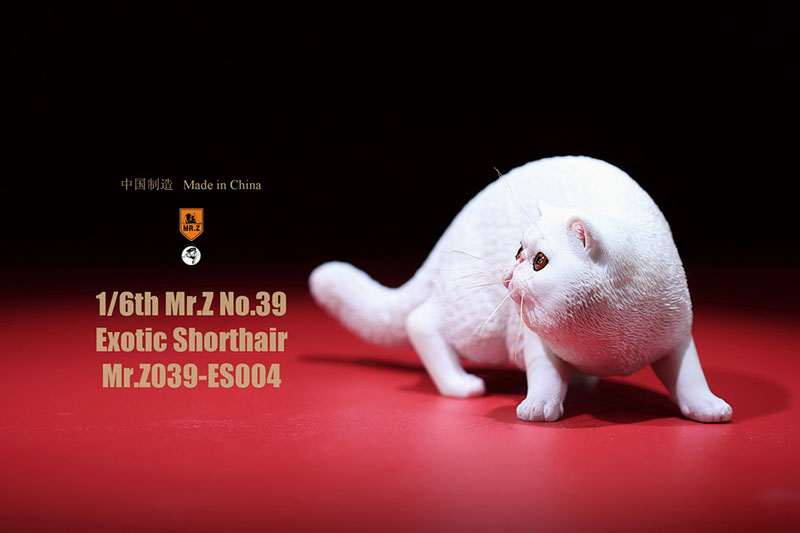 Mr.Z No.039 Cat 1/6th Resin Exotic Hairless Cat Model Simulation Model Toy Animal Static Model for 12' Action Figure Accessories Mr.Z No.039 Cat 1/6th Resin Exotic Hairless Cat Model Simulation Model Toy Animal Static Model for 12' Action Figure Accessories