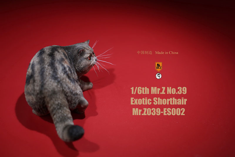 Mr.Z No.039 Cat 1/6th Resin Exotic Hairless Cat Model Simulation Model Toy Animal Static Model for 12' Action Figure Accessories Mr.Z No.039 Cat 1/6th Resin Exotic Hairless Cat Model Simulation Model Toy Animal Static Model for 12' Action Figure Accessories