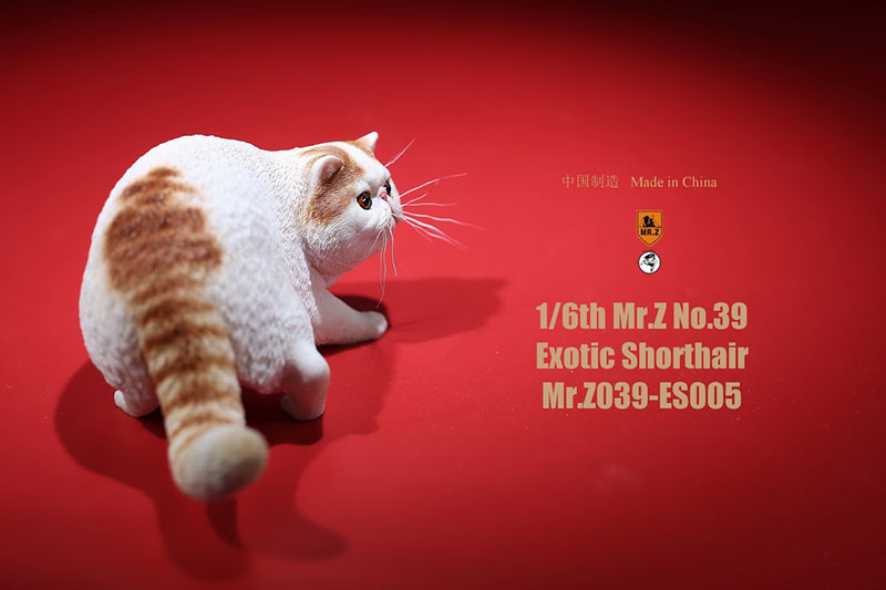 Mr.Z No.039 Cat 1/6th Resin Exotic Hairless Cat Model Simulation Model Toy Animal Static Model for 12' Action Figure Accessories Mr.Z No.039 Cat 1/6th Resin Exotic Hairless Cat Model Simulation Model Toy Animal Static Model for 12' Action Figure Accessories