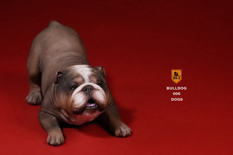 Mr.Z 1/6 2 Pcs/set Male/female Sleeping English Bulldog Simulation Animal Model Toy F Action Figure Scene Decoration Ornaments