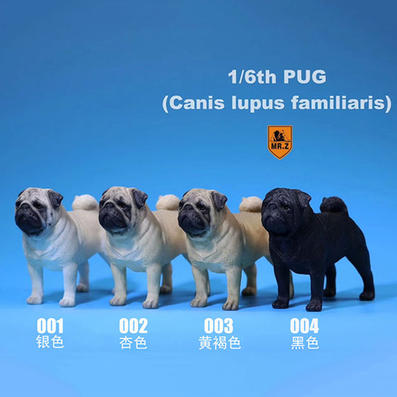 Mr.Z 1/6 Simulation Animal PUG Dog Canis Lupus Familiaris Model Toy F 12 Mr.Z 1/6 Simulation Animal PUG Dog Canis Lupus Familiaris Model Toy F 12