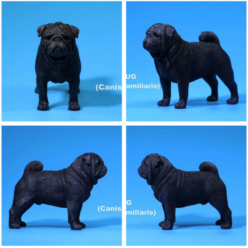 Mr.Z 1/6 Simulation Animal PUG Dog Canis Lupus Familiaris Model Toy F 12 Mr.Z 1/6 Simulation Animal PUG Dog Canis Lupus Familiaris Model Toy F 12