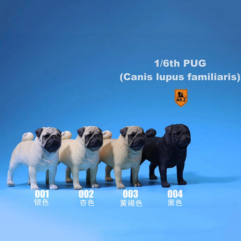 Mr.Z 1/6 Simulation Animal PUG Dog Canis Lupus Familiaris Model Toy F 12 Mr.Z 1/6 Simulation Animal PUG Dog Canis Lupus Familiaris Model Toy F 12