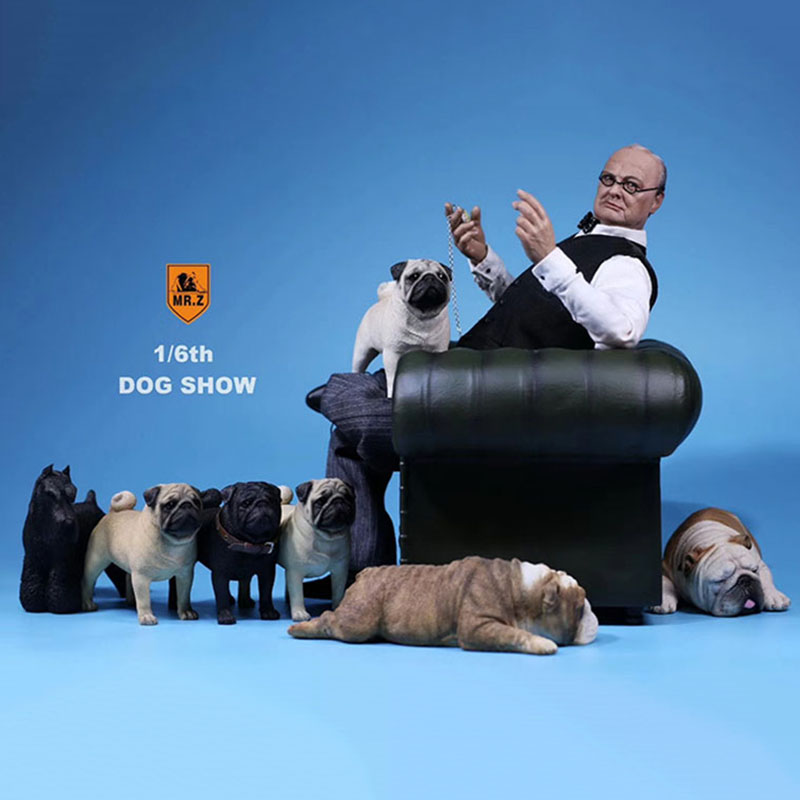 Mr.Z 1/6 Simulation Animal PUG Dog Canis Lupus Familiaris Model Toy F 12 Mr.Z 1/6 Simulation Animal PUG Dog Canis Lupus Familiaris Model Toy F 12