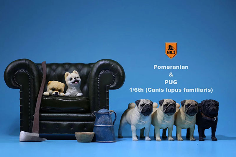 Mr.Z 1/6 Simulation Animal PUG Dog Canis Lupus Familiaris Model Toy F 12 Mr.Z 1/6 Simulation Animal PUG Dog Canis Lupus Familiaris Model Toy F 12