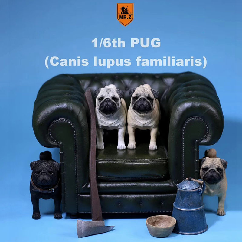 Mr.Z 1/6 Simulation Animal PUG Dog Canis Lupus Familiaris Model Toy F 12 Mr.Z 1/6 Simulation Animal PUG Dog Canis Lupus Familiaris Model Toy F 12
