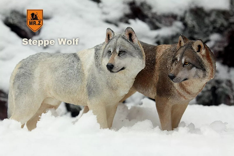 Mr.Z 18.5CM Prairie Wolf Simulation PVC Animal Model Wild Dog Mount Kids Adult Toys Home Car Decoration Indoor Desktop Display