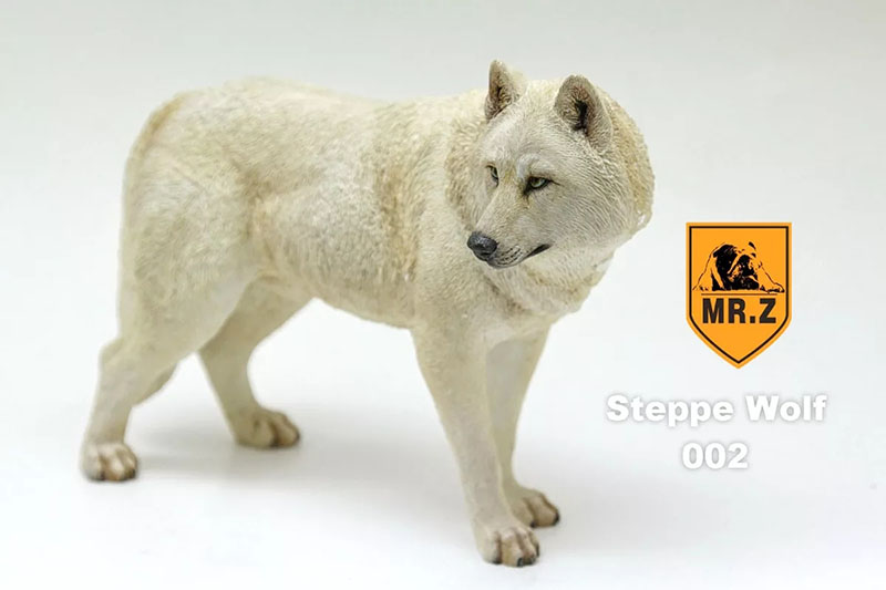 Mr.Z 18.5CM Prairie Wolf Simulation PVC Animal Model Wild Dog Mount Kids Adult Toys Home Car Decoration Indoor Desktop Display