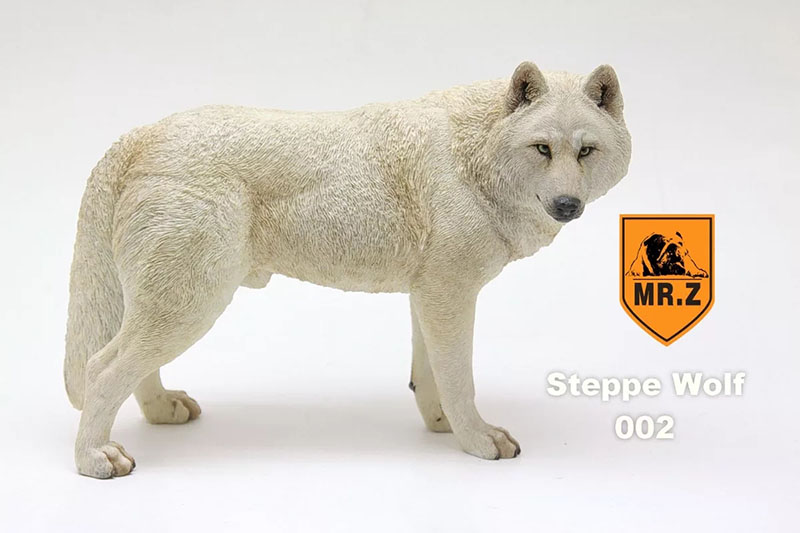 Mr.Z 18.5CM Prairie Wolf Simulation PVC Animal Model Wild Dog Mount Kids Adult Toys Home Car Decoration Indoor Desktop Display