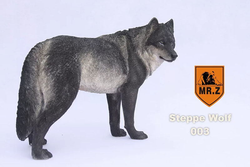 Mr.Z 18.5CM Prairie Wolf Simulation PVC Animal Model Wild Dog Mount Kids Adult Toys Home Car Decoration Indoor Desktop Display
