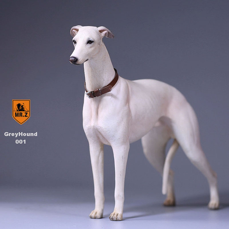 1:6 Mr.Z Resin PVC Miniature Lifelike Animal Model Greyhound Dog Model Toy Fit 12