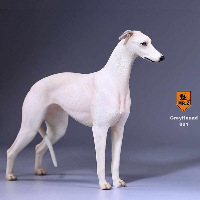 1:6 Mr.Z Resin PVC Miniature Lifelike Animal Model Greyhound Dog Model Toy Fit 12