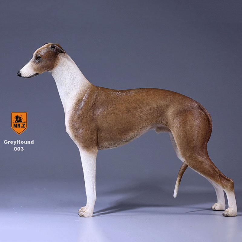1:6 Mr.Z Resin PVC Miniature Lifelike Animal Model Greyhound Dog Model Toy Fit 12
