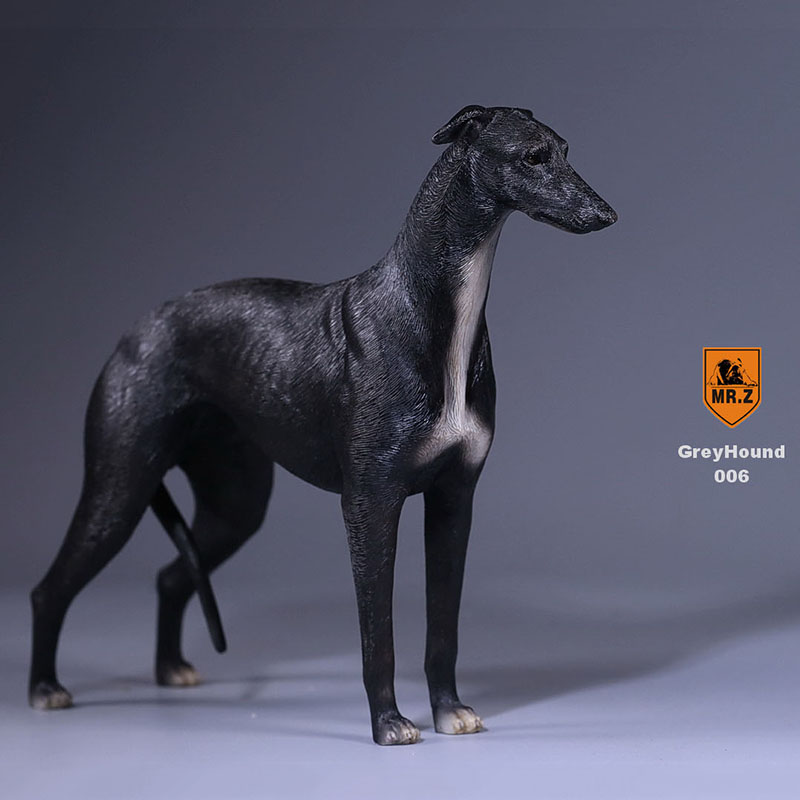 1:6 Mr.Z Resin PVC Miniature Lifelike Animal Model Greyhound Dog Model Toy Fit 12