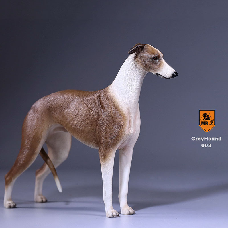 1:6 Mr.Z Resin PVC Miniature Lifelike Animal Model Greyhound Dog Model Toy Fit 12